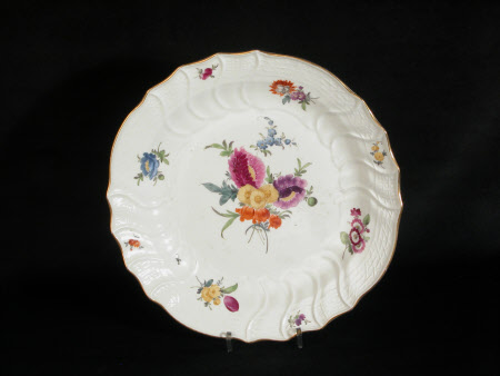 Dish