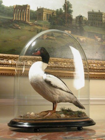 Goose