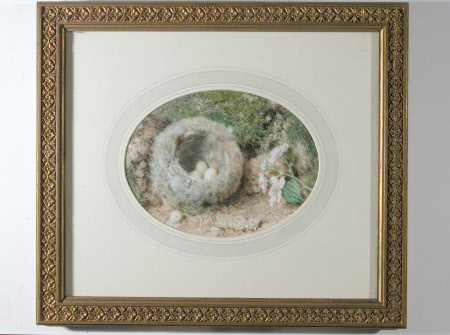 Bird's Nest and Apple Blossom