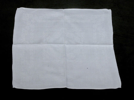 Napkin