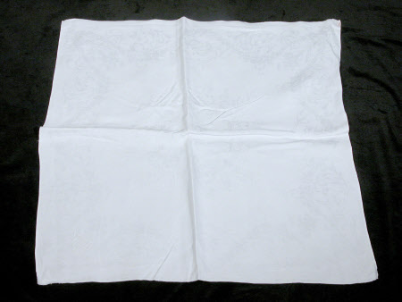 Napkin