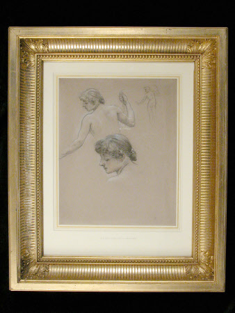 Studies of a Female Nude