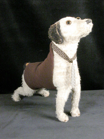 Toy terrier dog