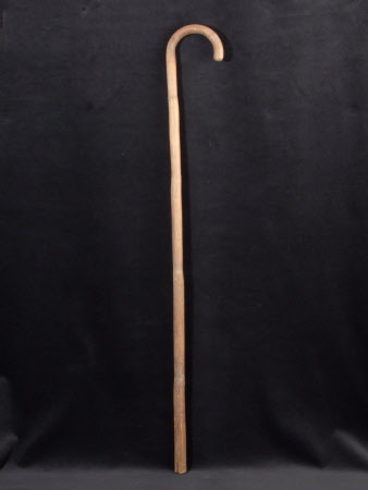Cane