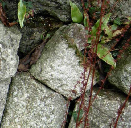 Masonry