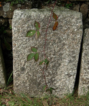 Masonry