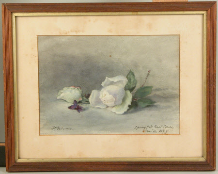 Roses and violets
