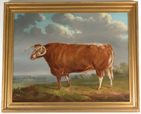 Calke Abbey © National Trust / David Midgelow