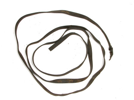 Reins