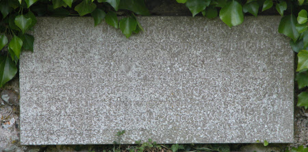 Plaque