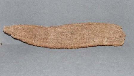 Loofah
