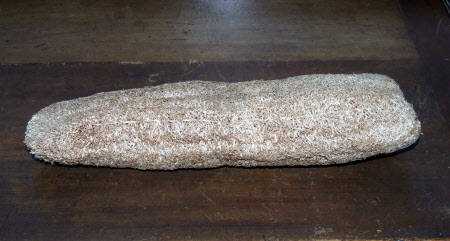 Loofah