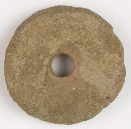 Whorl