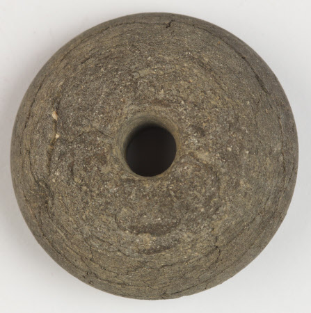 Whorl