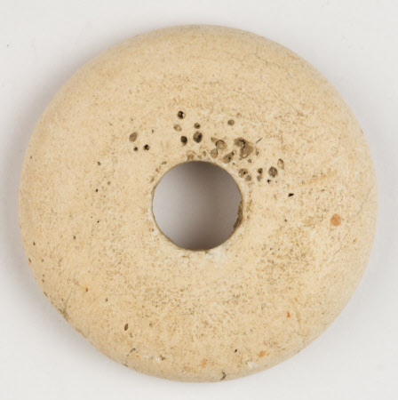 Whorl