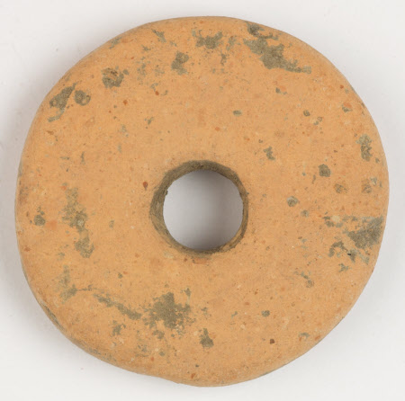 Whorl