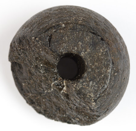 Whorl