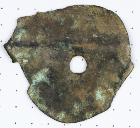 Disc fragment