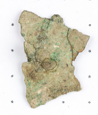 Disc fragment