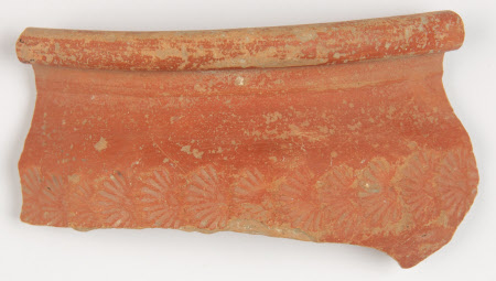 Sherd