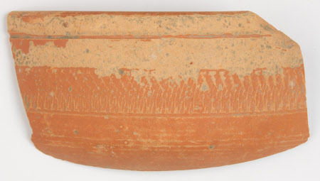 Sherd