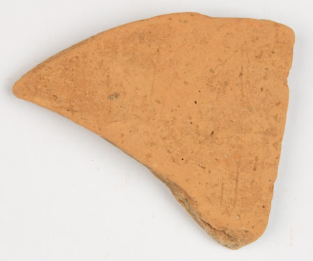 Sherd