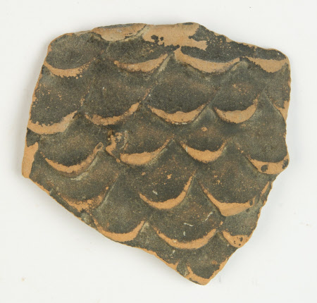 Sherd