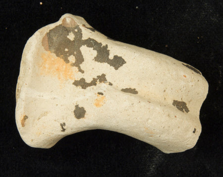 Sherd