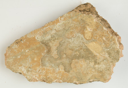 Wall plaster fragment