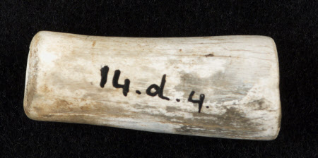 Bone fragment