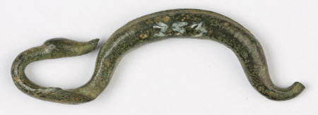 Fibula