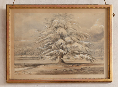 A Snowbound Parkland Landscape with the Cedar Tree, Gunby Hall, Lincolnshire 