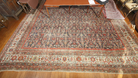Carpet
