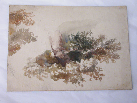 Watercolour drawing