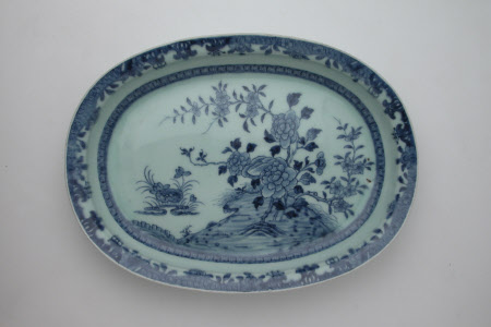 Dish