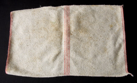Dishcloth