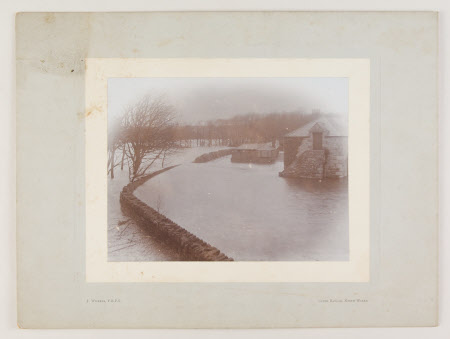 Photograph