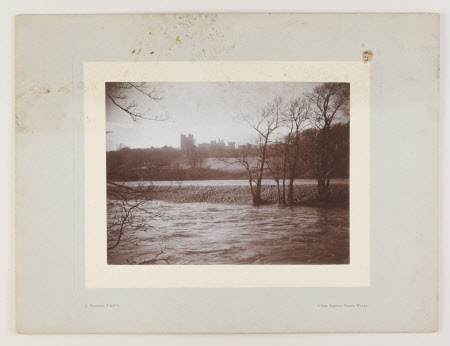Photograph