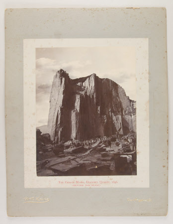 Photograph