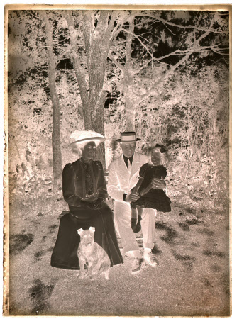 Monochrome negative