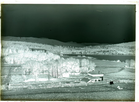 Monochrome negative