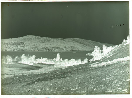 Monochrome negative
