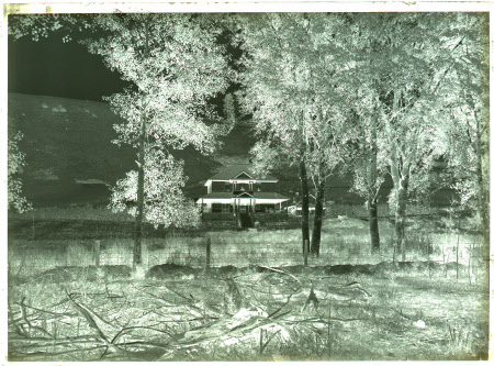 Monochrome negative