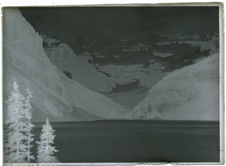 Monochrome negative