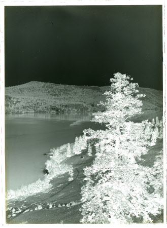 Monochrome negative