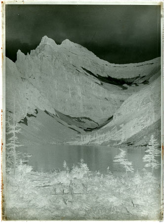 Monochrome negative