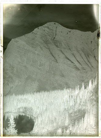 Monochrome negative