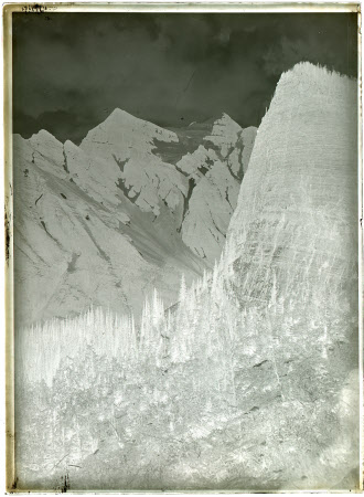 Monochrome negative