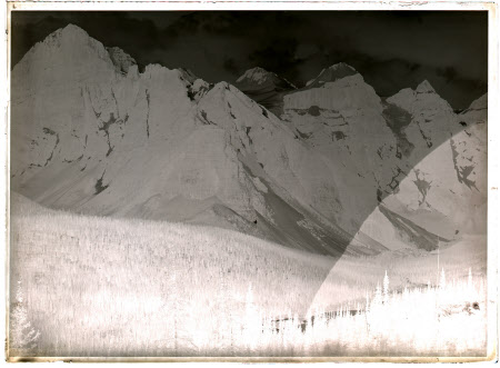 Monochrome negative