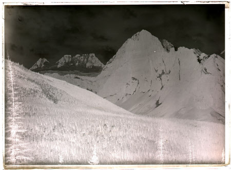Monochrome negative